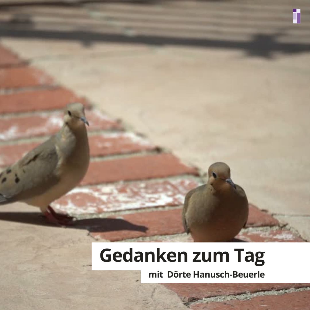 Gedanken zum Tag für die Woche 22.06.-28.06.2026